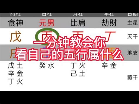 本命屬土|免費生辰八字五行屬性查詢、算命、分析命盤喜用神、喜忌